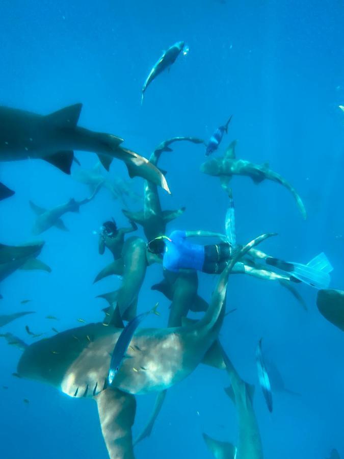 Reef Edge Thulusdhoo, Maldives Otel Dış mekan fotoğraf