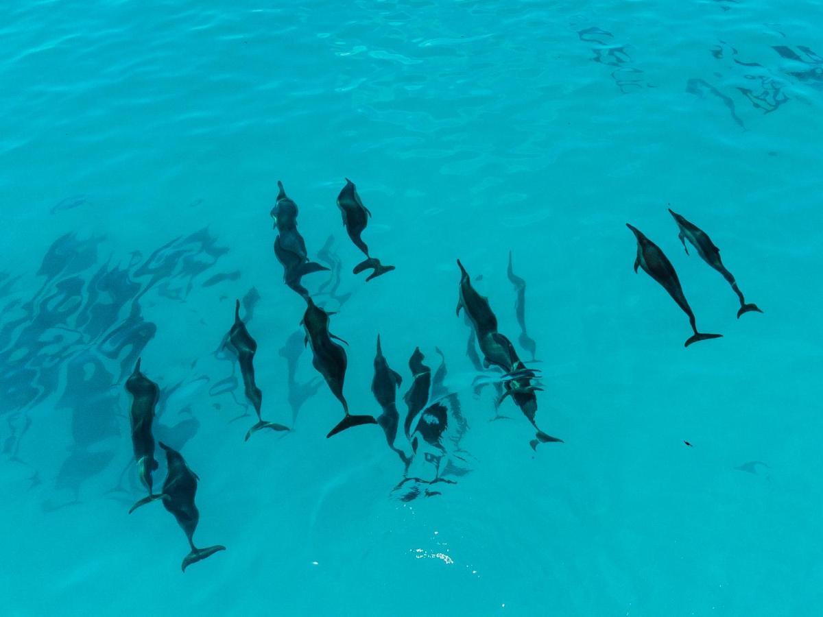 Reef Edge Thulusdhoo, Maldives Otel Dış mekan fotoğraf