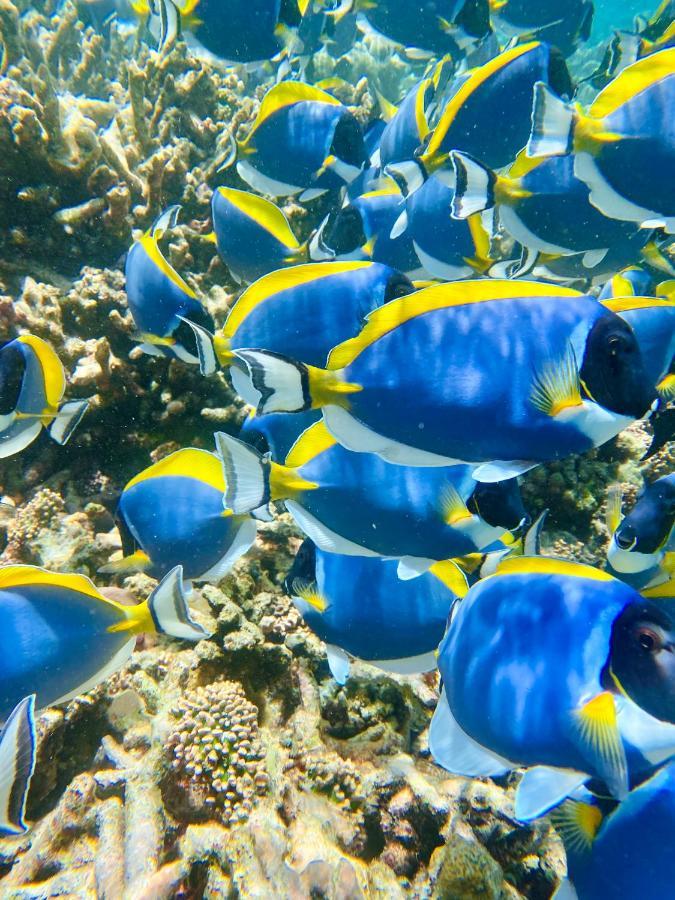 Reef Edge Thulusdhoo, Maldives Otel Dış mekan fotoğraf