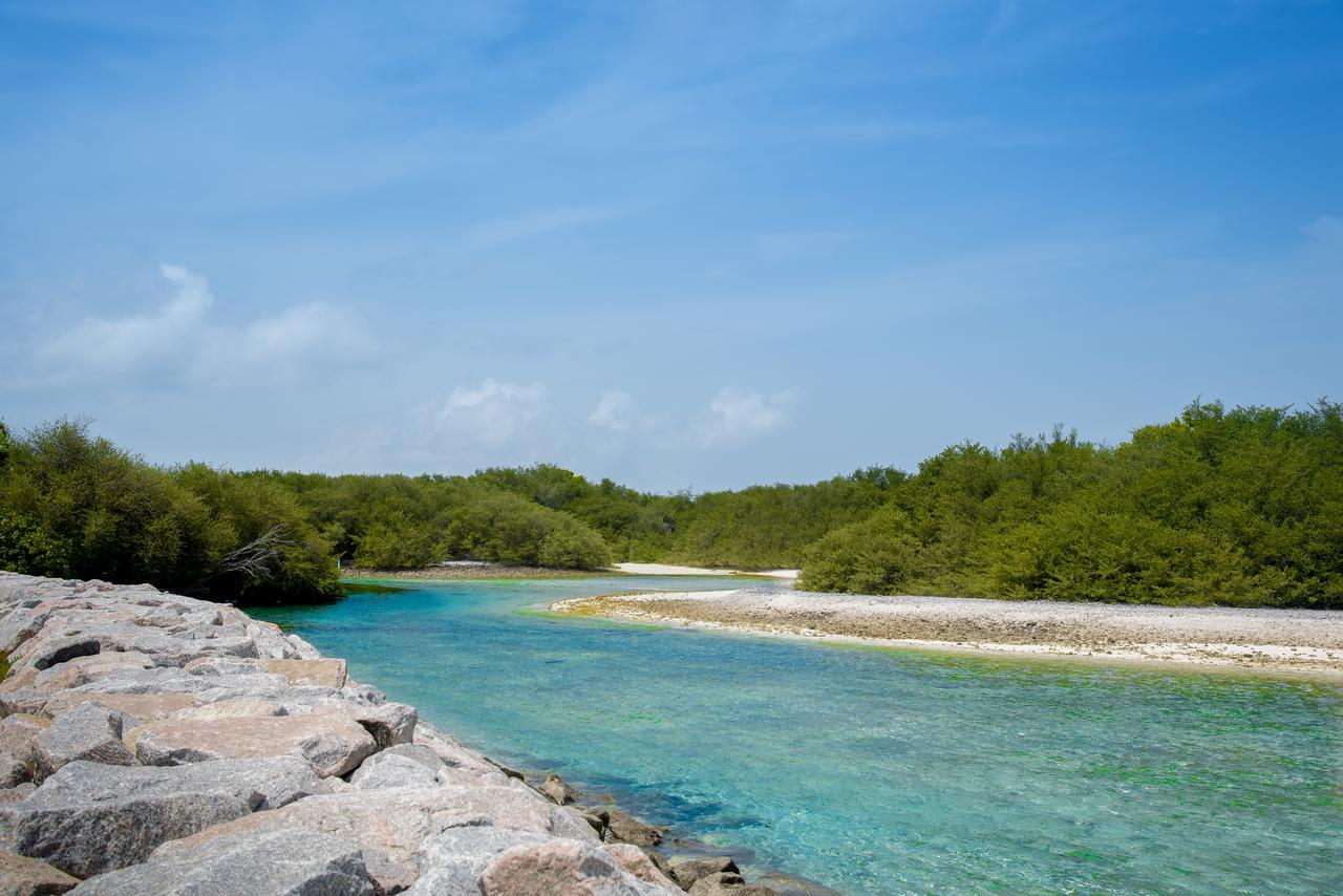 Reef Edge Thulusdhoo, Maldives Otel Dış mekan fotoğraf